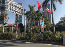 唐山大陆地产最新动态更新