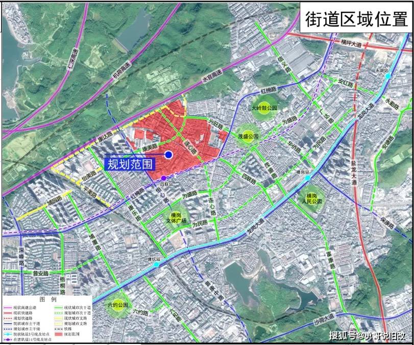 忆情最新进展及其深度论述观点解析