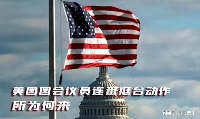 美国最新抗议信息深度解析，全球聚焦下的美国社会动态