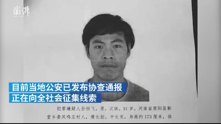 河南原阳杀人案最新进展及分析