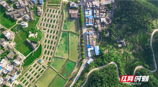 祁东最新地图探索，自信成就未来之旅