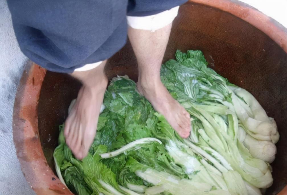腌菜腌制新方法，步骤指南，最新腌制技巧分享