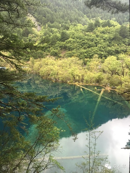 四川水灾背后的自然探索之旅，风景与挑战并存