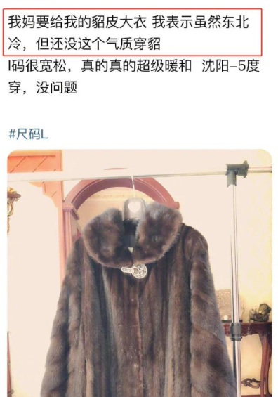 貂皮大衣最新价格，与自然美景相遇，寻找内心平和的旅行邂逅