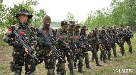 最新特种兵电视剧观看与学习指南，步骤详解与精彩剧情一览
