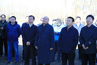 乔良最新聚焦深度探讨，聚焦要点，深度解析