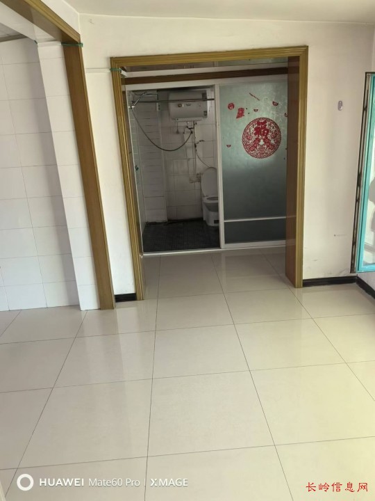 最新揭秘