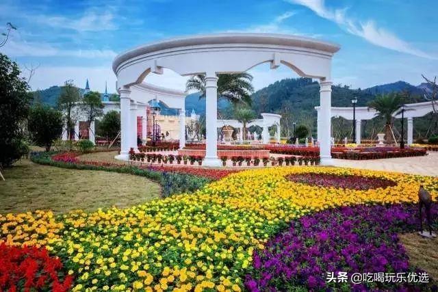 佛山楼市最新行情，自然美景下的楼市探索之旅