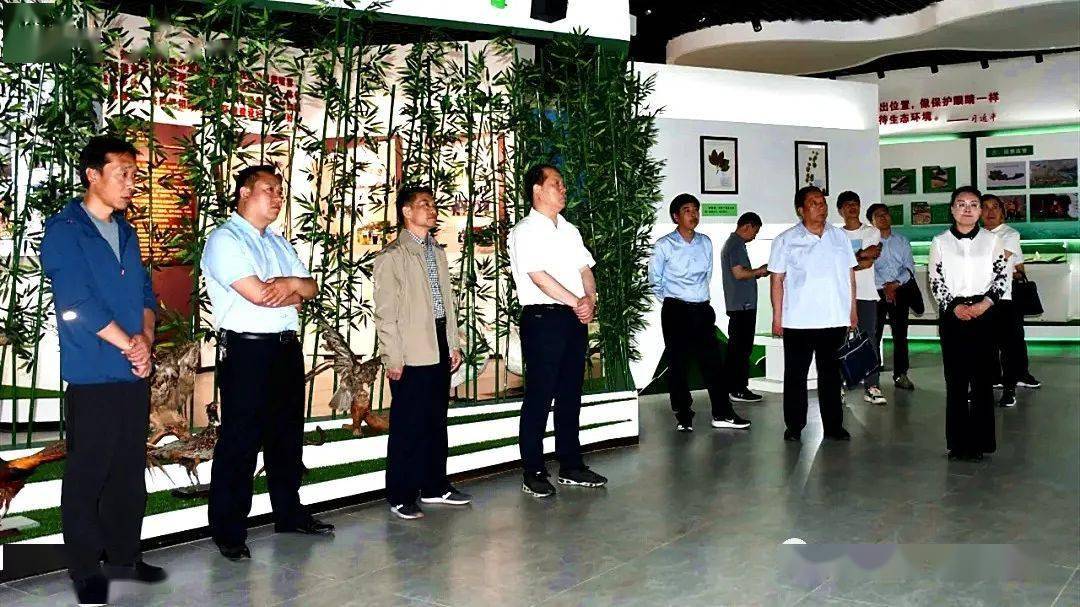 呼市最新新闻，城市温情与友情的动人瞬间