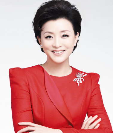 杨澜最新动态，事业影响力再扩大，事业新动向引人关注