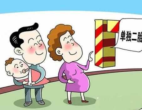 中国二胎政策最新动态，家庭新选择与未来展望
