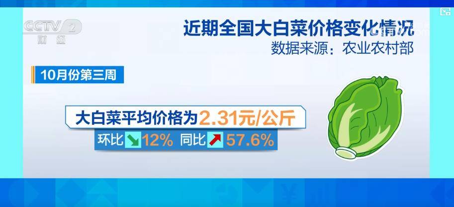 大白菜价格最新行情概览，全方位指南