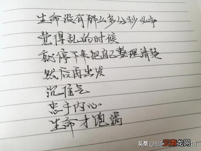 最新个性签名背后的温馨故事揭晓，探索个性之美的独特魅力