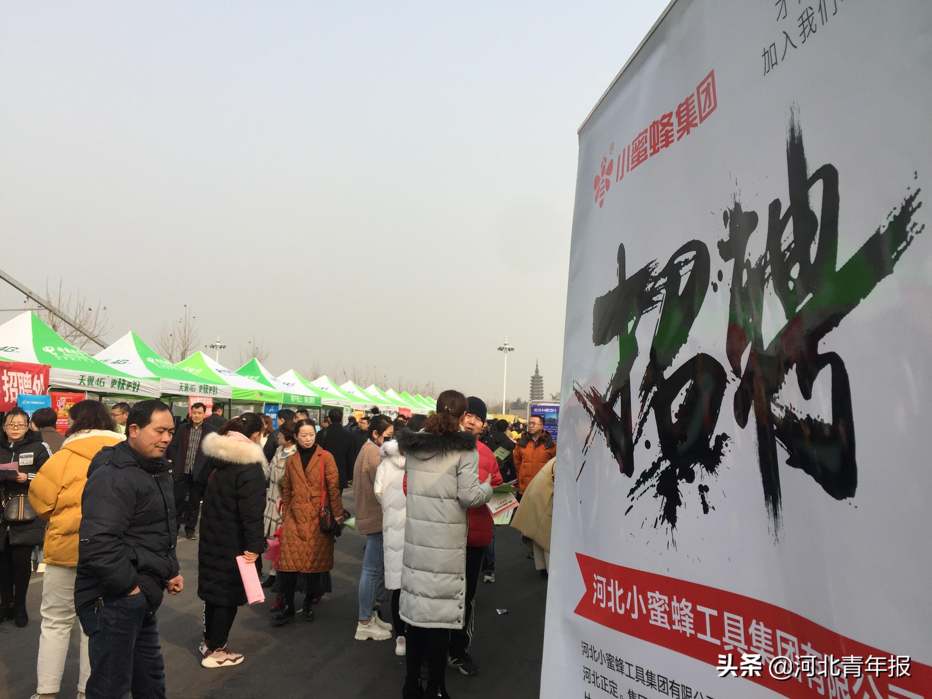 正定最新招聘信息更新速递