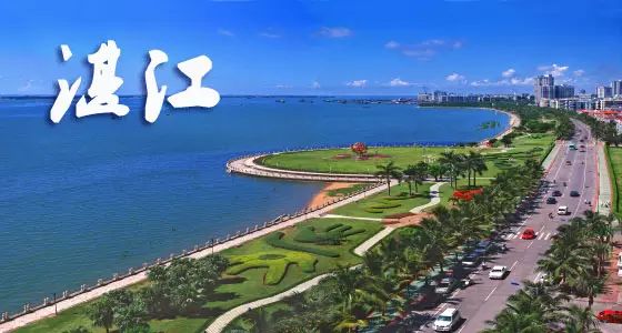 弱势儿童多元教育 第13页