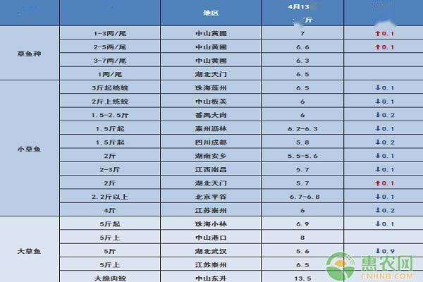 善弱势儿童教育环境 第9页