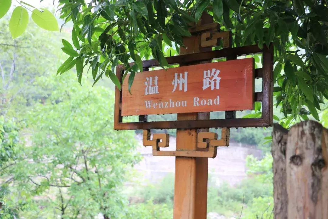 温州地震最新消息及步骤指南