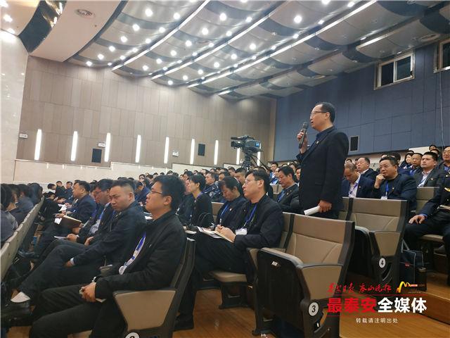 肥城莱茵河畔的日常趣事与情感纽带，最新消息揭秘！