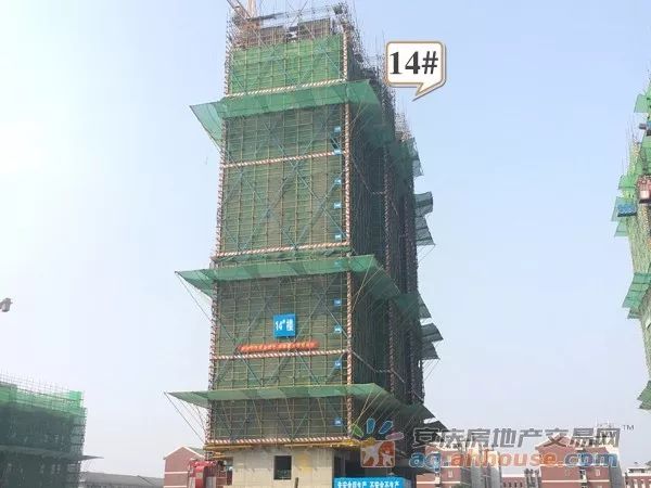 安庆天下名筑最新动态揭秘，小巷风情与隐藏特色小店