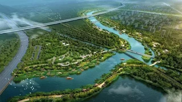 赵王河新村新篇章，变化、学习与成就的力量最新消息揭秘