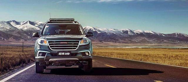 临沂H7N9最新消息揭秘,获取与解读相关信息的步骤指南