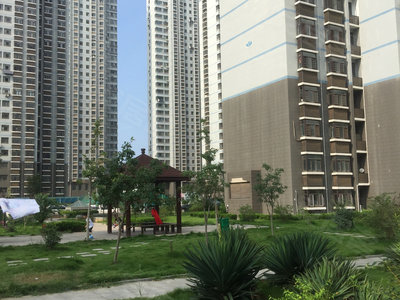 最新龙海石码二手房购买指南,从初学者到进阶用户的全方位指南