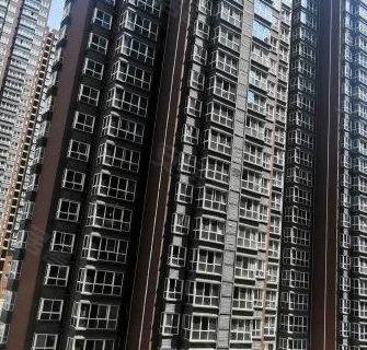 安诚御花苑最新进展,小巷中的隐藏宝藏揭秘