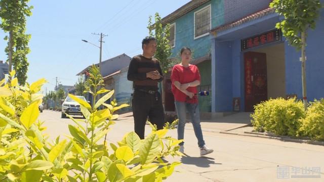 大荔县教育网最新消息,探索自然美景之旅,寻找内心平静之旅