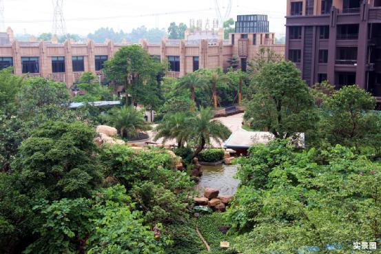 狮山恒大御景最新动态与巷弄深处的独特小店探秘