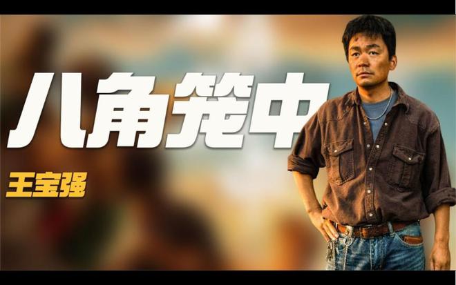 王宝强与马蓉的最新消息,情感纠葛与人生新篇章的更新报道