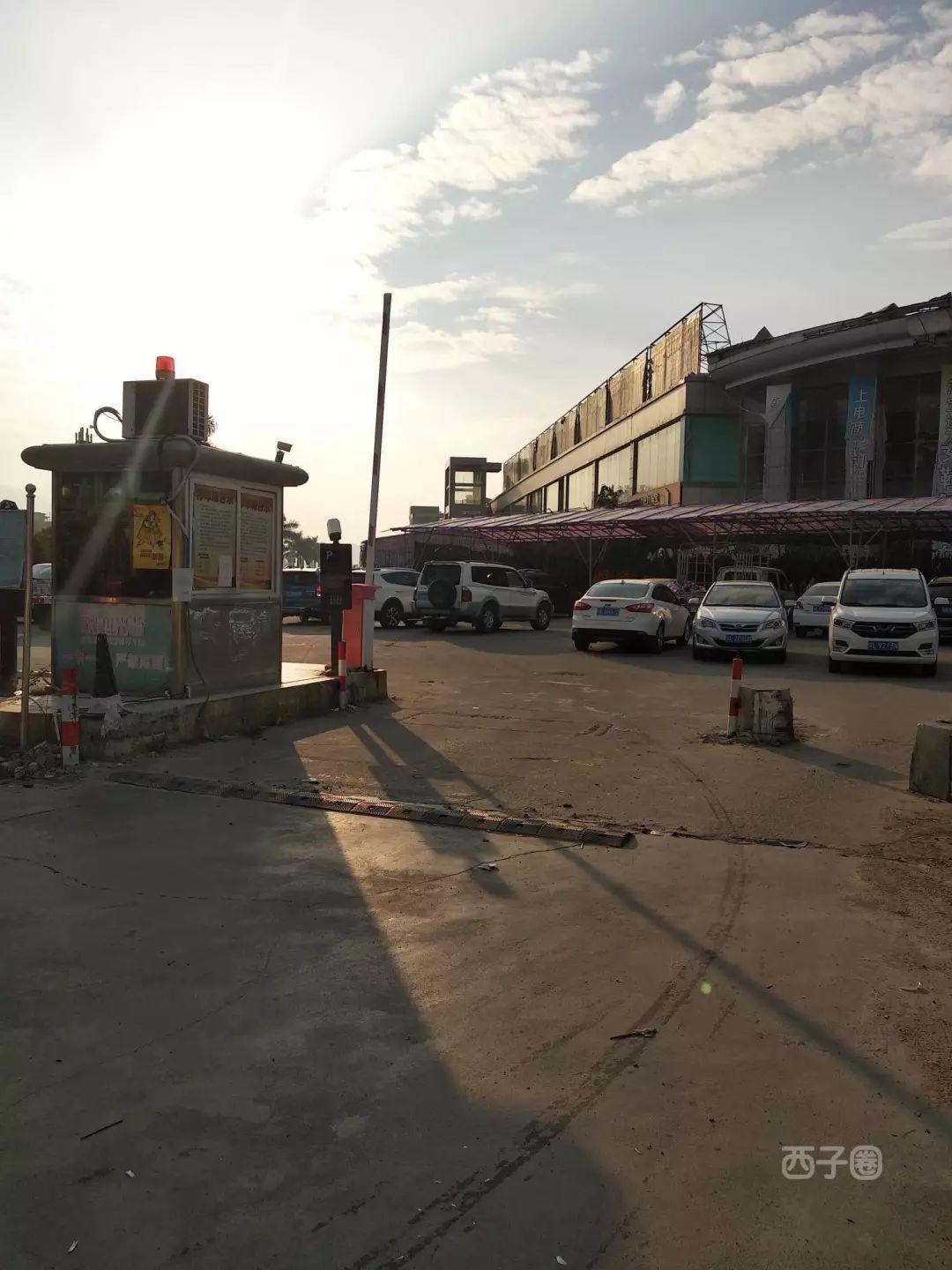 惠东西子湖畔最新新闻资讯详解,获取与解读指南