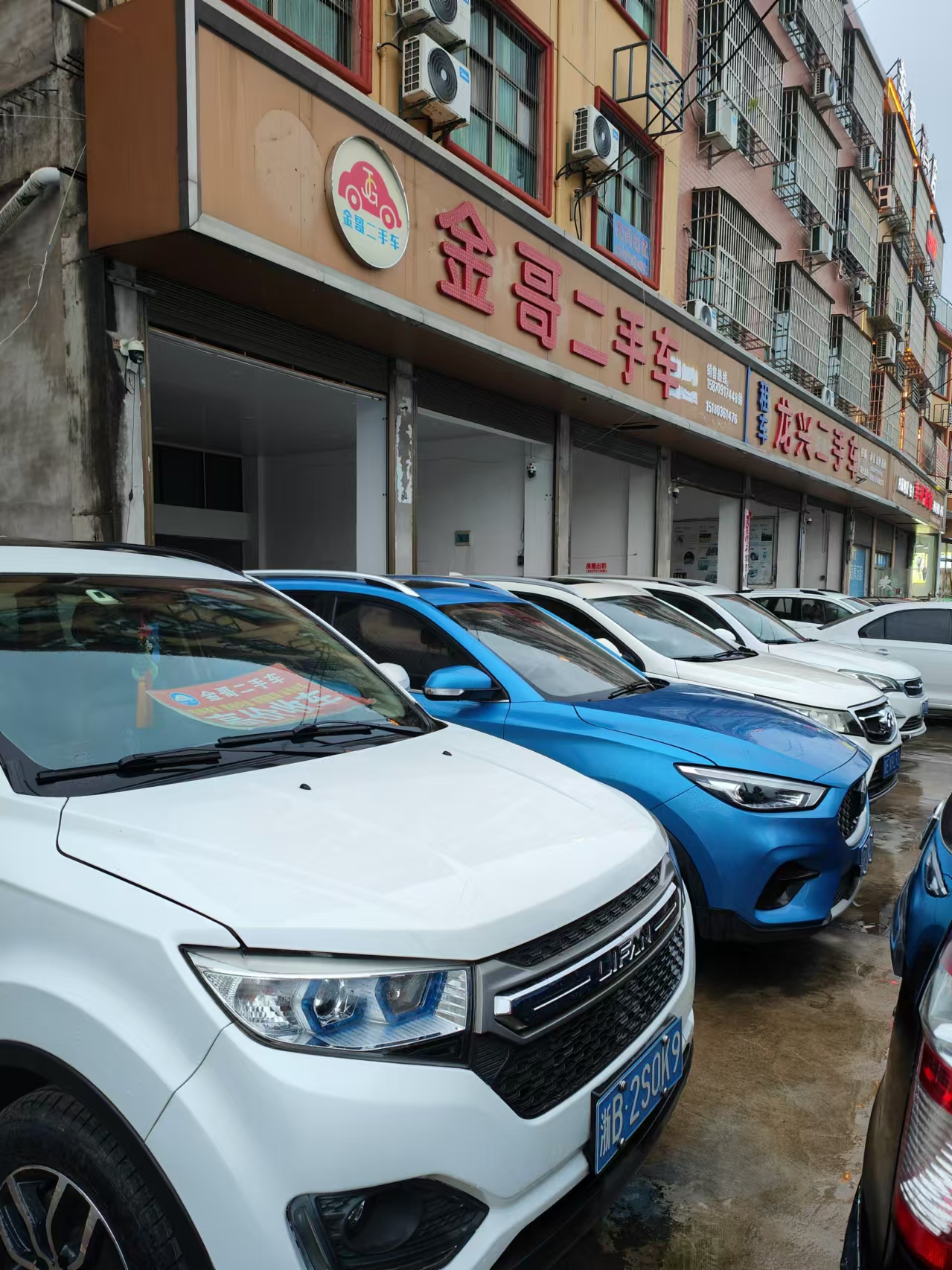 金路二手车最新产品,友情与陪伴的温馨之旅