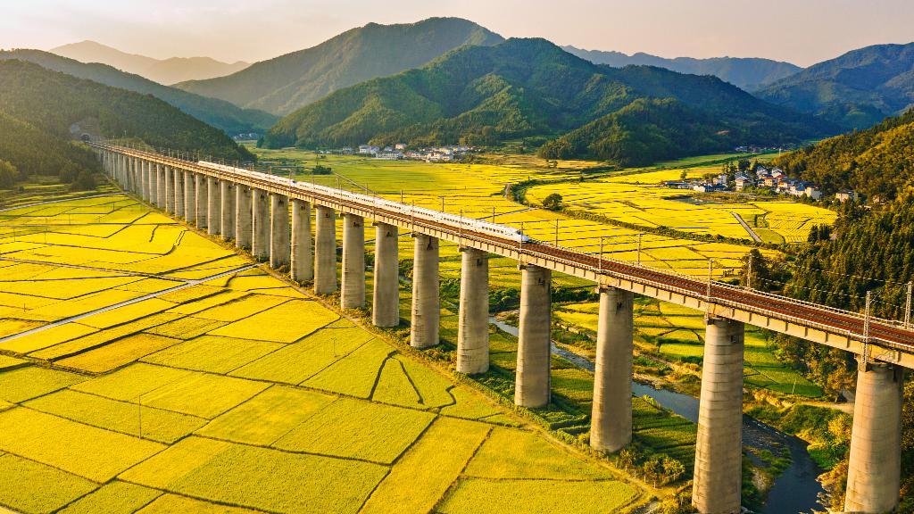 两会武杭高铁最新动态速递,最新消息一览🚄