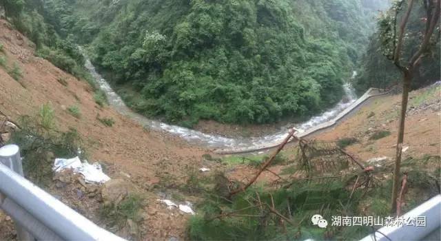 祁东县四明山最新动态,小巷深处的独特风情与隐藏的美食宝藏