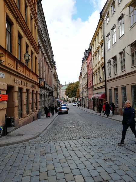 涿京一级路最新进展及小巷独特风味探寻纪实