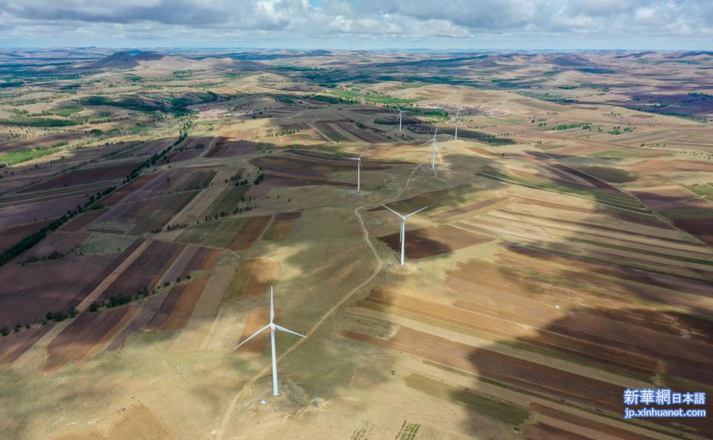 张雪霞寻子最新进展，城市温暖足迹中的希望之光