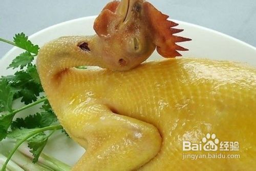 H1N9禽流感最新动态报告，最新消息汇总