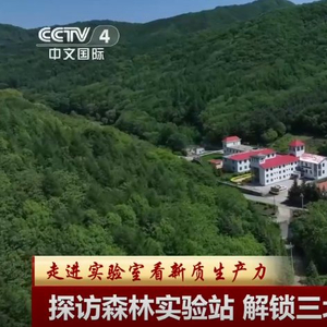 三北防护林绿意盎然背后的温情故事最新消息