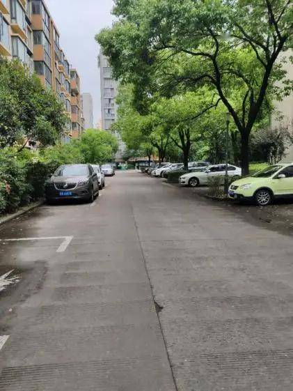 廊坊S6号线最新动态与巷弄深处的独特小店探秘