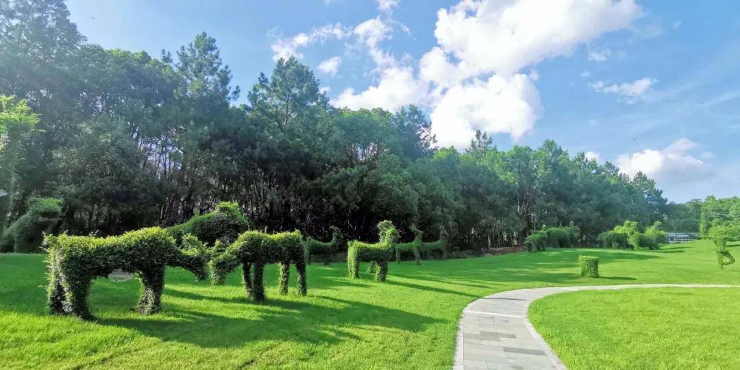 我的世界国际服最新版本下载，探索自然美景的轻松之旅启程