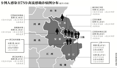 浙江H7N9最新动态2017，小城奇遇与深厚友情的交织