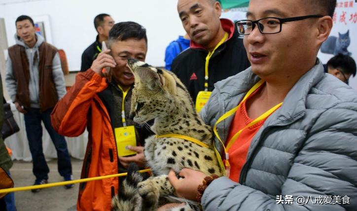 二级建造师的执业范围最新规定，变化带来的自信与成就感提升之路