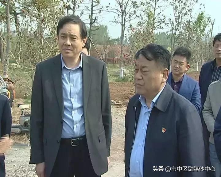 枣庄莲花山生态园最新动态更新，最新消息汇总