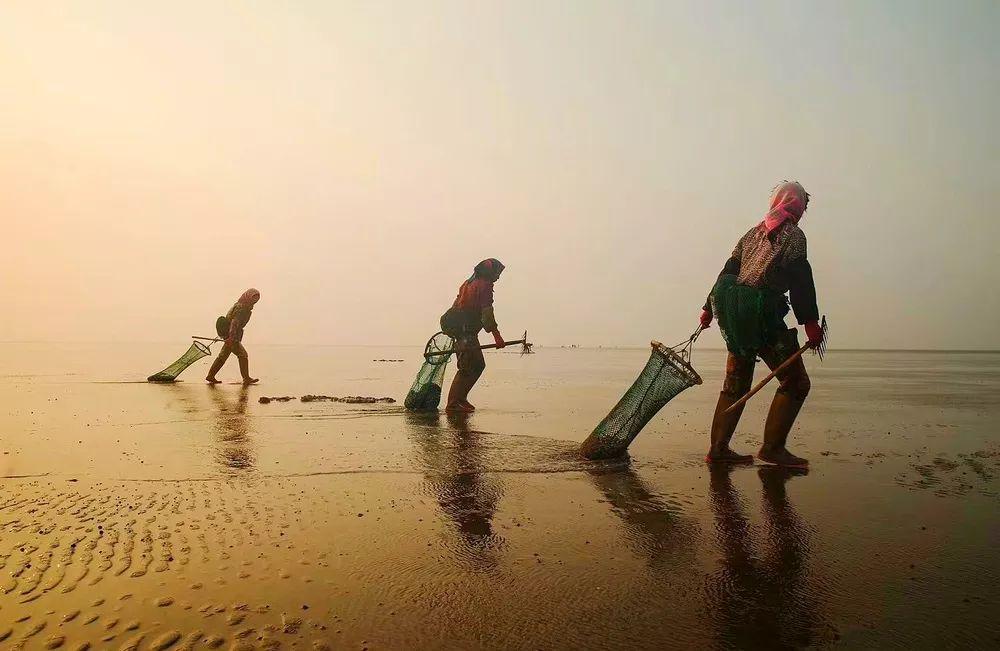 盘锦招聘网最新早八晚五职位，与大自然同行，寻找内心的宁静港湾招聘启事