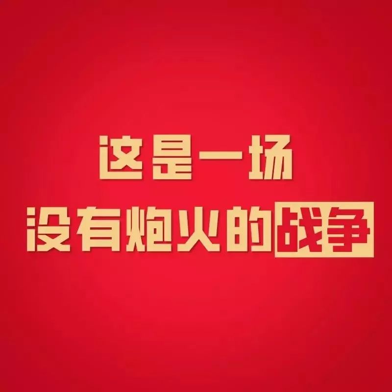 镇平百事通最新消息,豫R动态与友情小船的温馨日常
