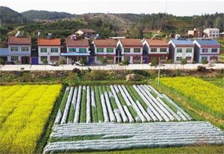 国家农村宅基地最新政策与小巷深处的特色小店探寻之旅