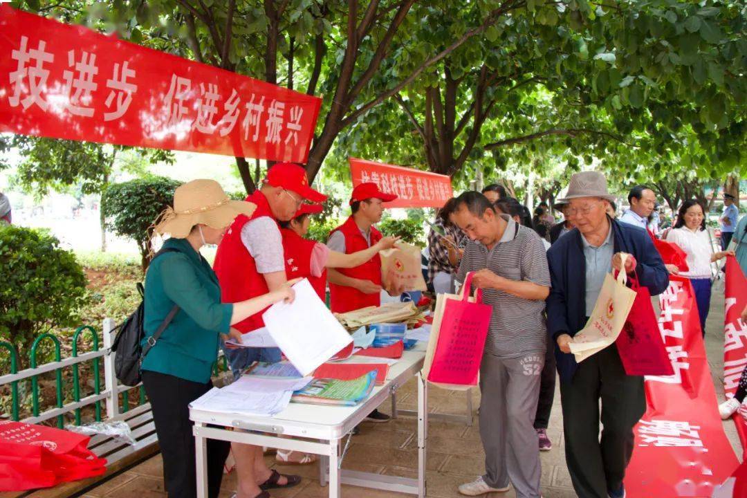 新蔡县二手房最新出售消息,科技引领房产新纪元,优质房源一览