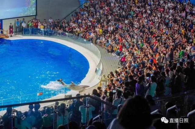 下载全民K歌最新版本，开启自然美景之旅，探寻内心平和宁静的世界