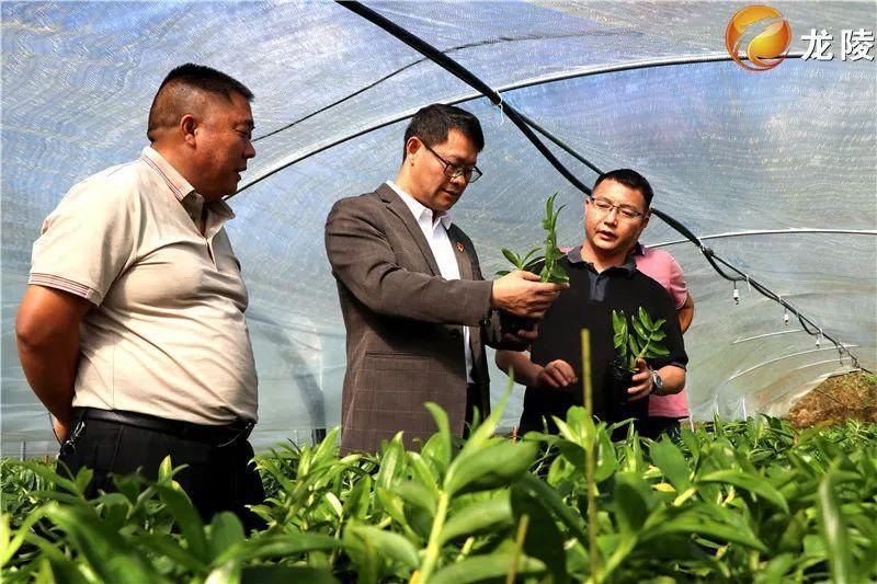 钢结构工程施工质量验收规范最新解读，探索自然美景与内心宁静之旅