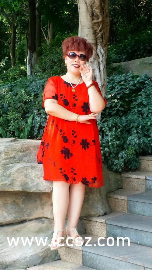 MeimeiHeihei的最新篇章,探索其在时代中的独特地位